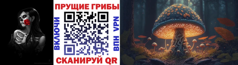 Псилоцибиновые грибы Psilocybe  Пестово 